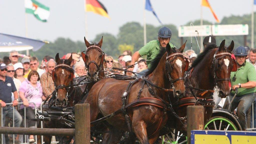 Die Pferdesportgemeinschaft Lähden lockt mit Turnieren 10.000 Besucher an. 