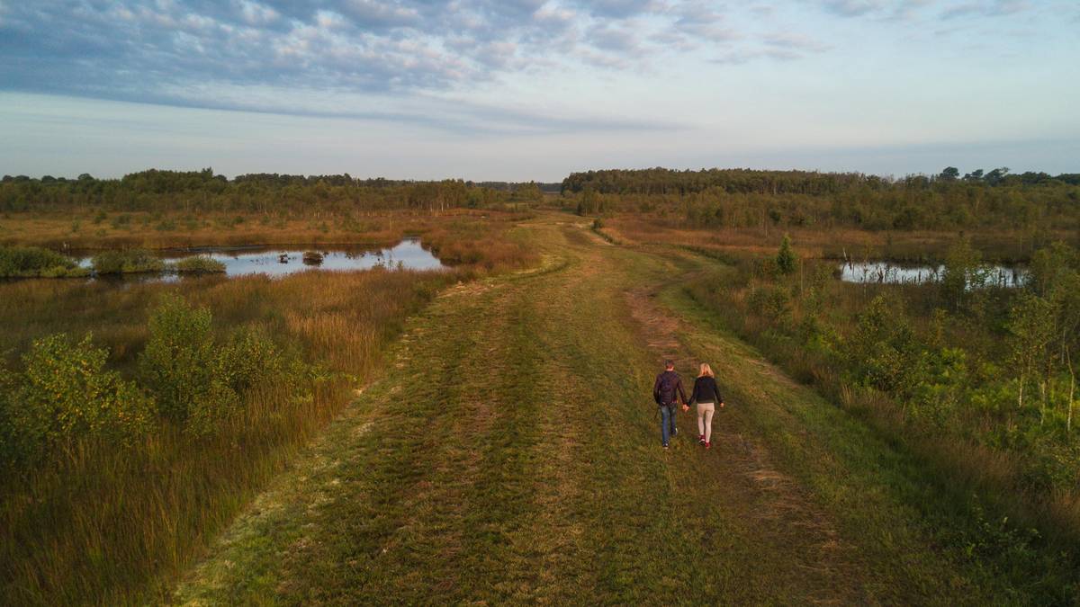 Einen erholsamen Ausflug in die Natur ermöglicht der Naturpark Moor.