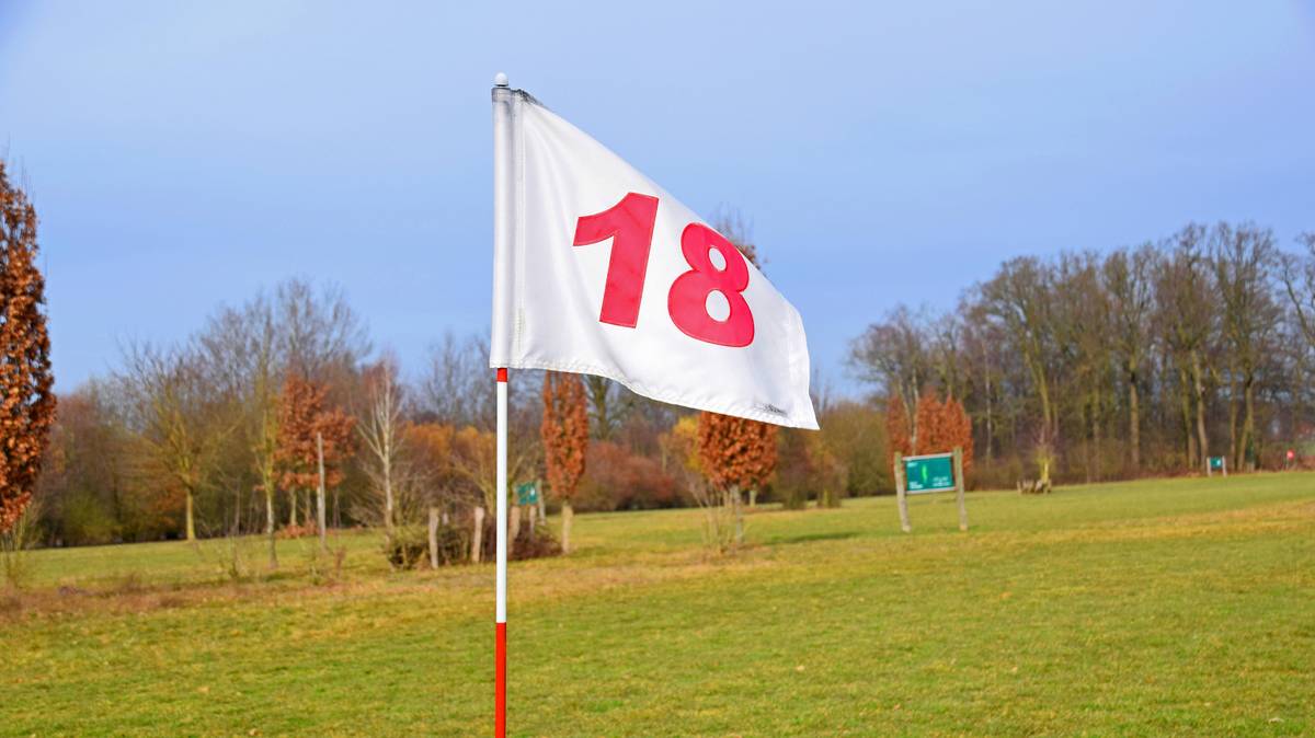 In der Mehringer Heide in Emsbüren kann Swingolf gespielt werden.