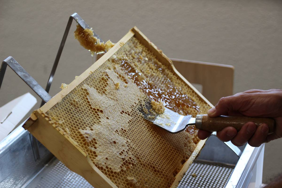 Honiggewinnung ist Handarbeit.