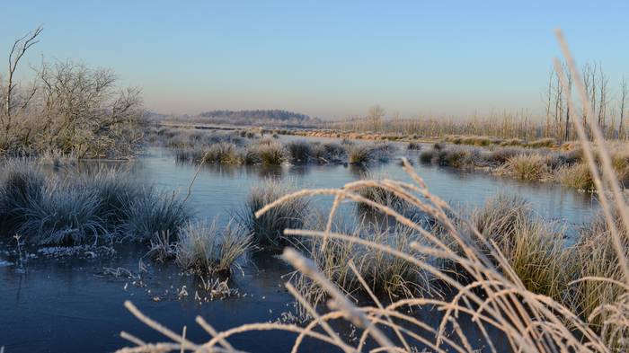 Das Theikenmeer ist auch im Winter ein Ort zum durchatmen.