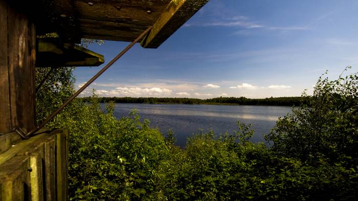 Das "Theikenmeer" ist ein 250 Hektar großes Naturschutzgebiet der Stadt Werlte.