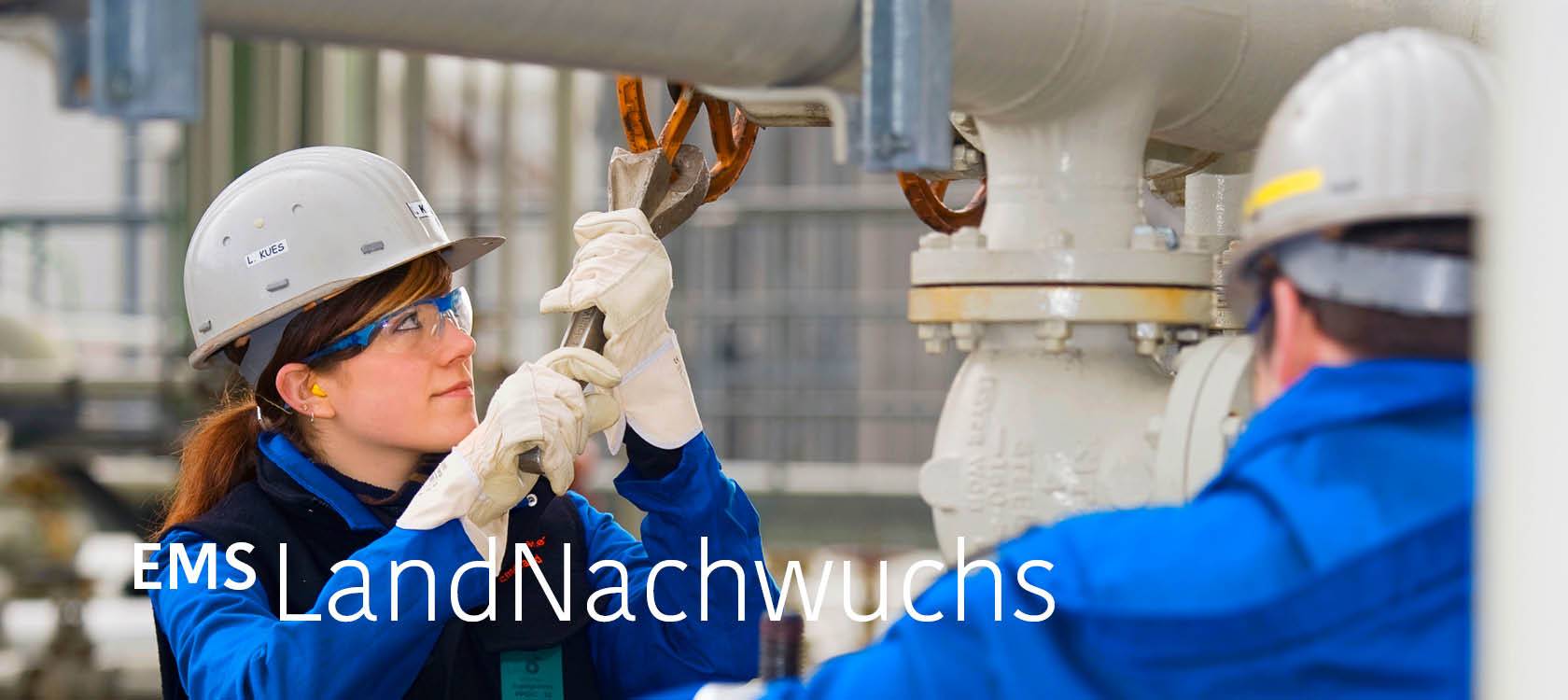 Nachwuchs im Emsland
